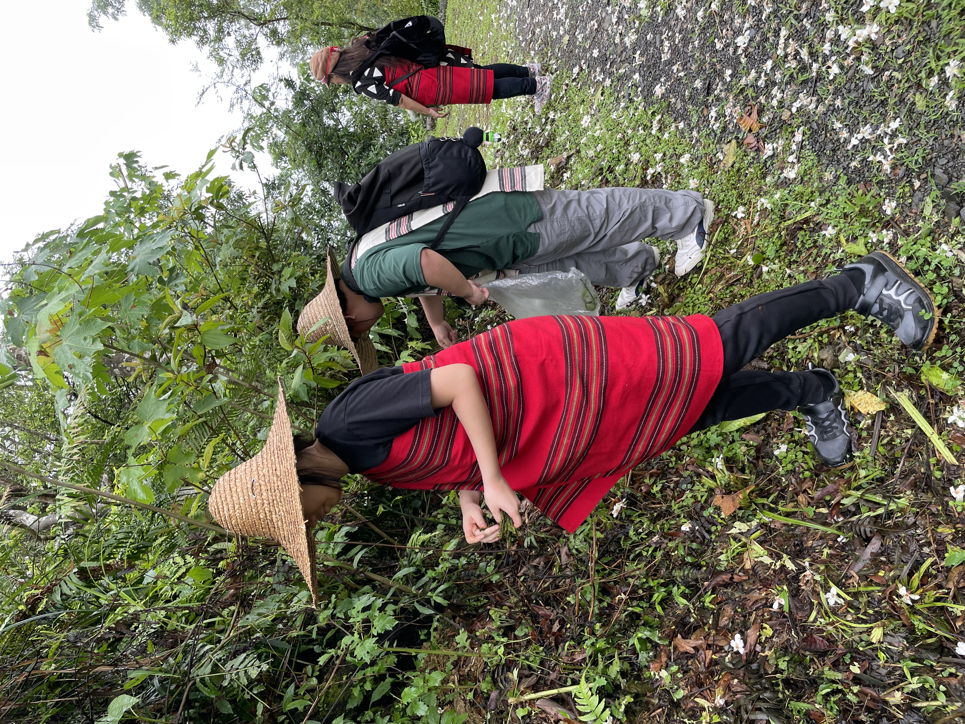 这是一张图片 这是一张图片