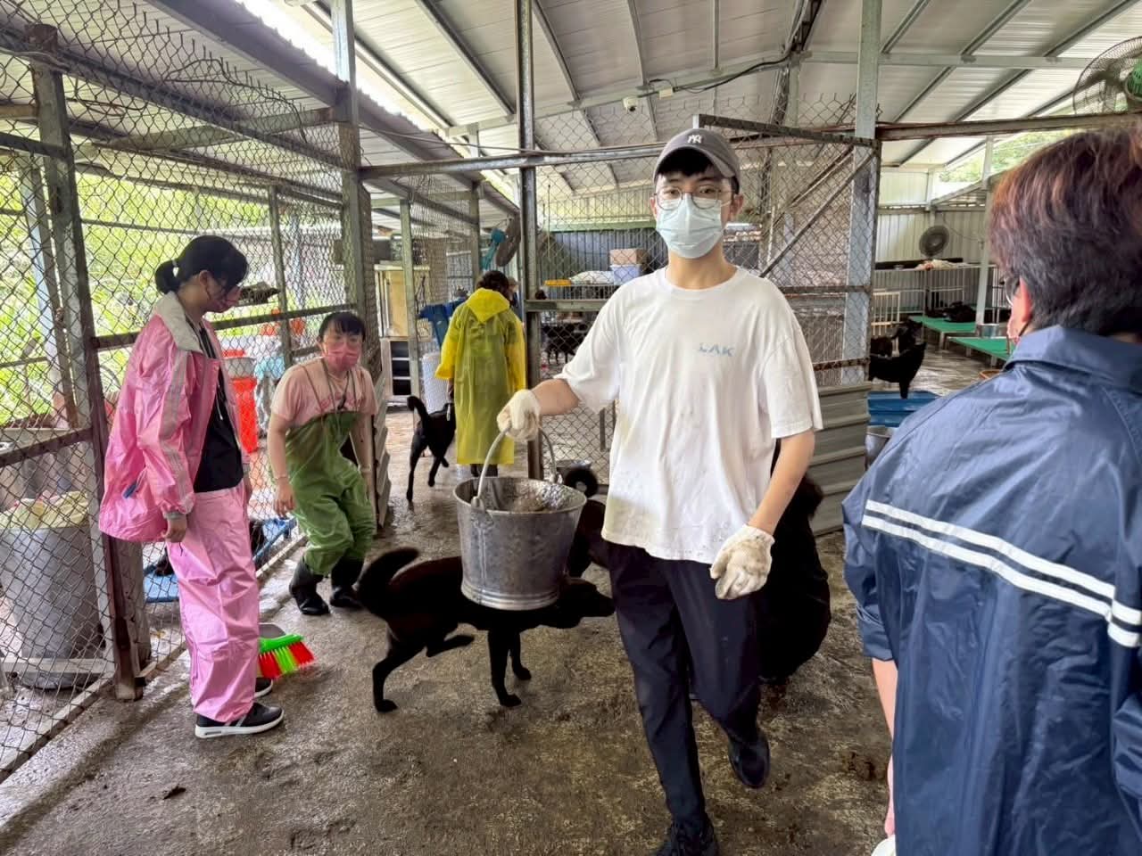 这是一张图片 这是一张图片